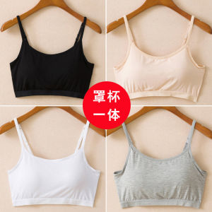 Modal Womens Summer Underwear Padded Tube Top Plus Size Short Camisole One-Piece Tube Top Bottoming Intimates