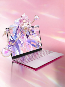 IBIP | Corei7-i9 Gaming and Portable Laptop 6G Graphics