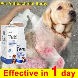Pet Skin Treatment Spray Pet Antimicrobial Spray Pet Cat Dog Skin Care For Skin Allergy Fleas And Ticks Remover Pet Wound Spray Medicine For Dog Itch ubat kurap kucing 50ml