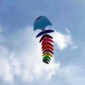 Fishbone soft kites pendant flying fish kites for adults inflatable show kites flying fish kite octopus fly dragon fishing kite