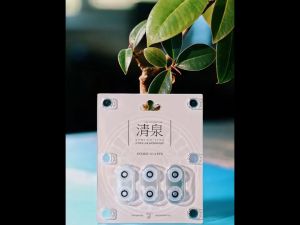 MoonDrop Spring Tips Acoustic waveguide Eartips + Double Support Structure Silicone Earphone Ear-Tips Earpad Replacement Earbuds Spinfit