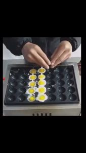 เตานกกระทา 7ไม้ 35หลุม เตาแก๊ส เตาทอดไข่นกกระทา Gas Quail Egg Machine Maker Roasted