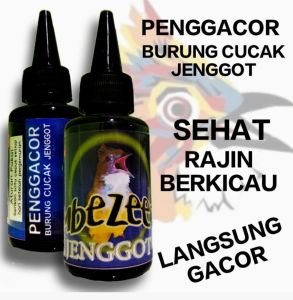 campaign serum PENGGACOR burung cucak jenggot