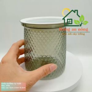 CD120 -  Chậu dưỡng thông minh tự tới kèm rọ và dây dẫn nước nhựa PET size 105x120mm ( xem trong mô tả)