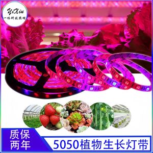 5050 LED Soft Light Strip Growth Light for Meat Plants Vegetables Waterproof 4 Red 1 Blue 12V Composite Supplemental Lighting