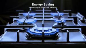 Firenzzi FH-9500SS 5 Burner Italian Platinum Stainless Steel Built-in Gas Hob FH9500 Firenzzi 5 Burner