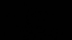 Bếp Hồng Ngoại BEAR A22D1Công Suất 2200W bếp hồng ngoại bếp hồng ngoại cảm ứng.Bếp Hồng Ngoại Đơn Bếp Điện Hồng Ngoại Không Kén Nồi Điều Khiển Cảm Ứng khóa trẻ em an toàn Thiết Kế Sang Trọng Tiện Dụng Cho Mọi Nhà