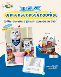 Okiko - โอกิโกะ อาหารเม็ด สำหรับลูกแมวและแมวโต หมดปัญหาน้องแมวกินยาก