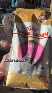 400g Royal Canin All Stages Adult Kitten British Shorthair Pet Cat Cats Nutrition Healthy Dry Food