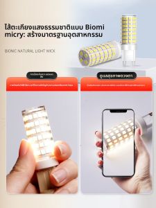 SUIYI | 3-Color LED Light Bulb with 2-Pin Plug