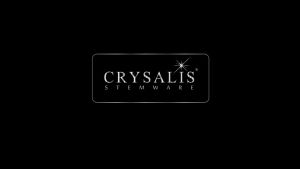 CRYSALIS Borosilicate Glass Pitcher with Stainless Steel Lid Serving Water Pitcher Quality