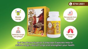 Mei Hua Brand Superior Cordyceps (60 Capsules)