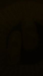 SEPATU ANAK PEREMPUAN / SNEAKERS ANAK CEWEK TRENDY KEKINIAN / SEPATU SNEAKERS SLIP ON TERBARU