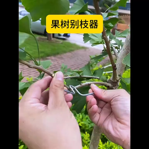 10Pcs Fruit Tree Branch Shaper Tools Fruit Tree Limb Spreaders Open Angle Pull Branch Support