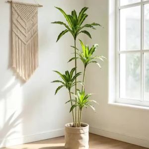 80-165cm Large Artifcial Dracaena Tree Tropical Fake Brazilwood Plants Plastic Palm Leaves Faux Corn Leaf For Home Garden Decor