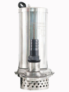 GLORY Stainless Steel Submersible Pump Garden High Flow Wastewater Pump WQD-250 Home Use Gear Wheel Water Lifting Machine