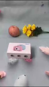 ZWN small digital camera for kids X2000 toys can take high definition video shooting outdoor small camera SLR baby toy with TF memory card