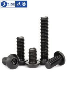 Yi Se Dian Zi | Black Coated 304 Stainless Steel Hex Head Screw