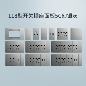 CHNT | USB Enabled Power Socket Module 118 type