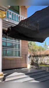 Malaysia Ready Stock 99% UV Sun Shade Net With Perforated Holes & Reinforced Edges Multi Sizes & Colors For Balcony Garden Carport Jaring Pelindung Matahari