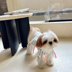 Winter Sweater Coat for Dogs And Cats Teddy Bichon Schnauzer Pomeranian Pet Clothes Princess Style Knittedwear Accessories