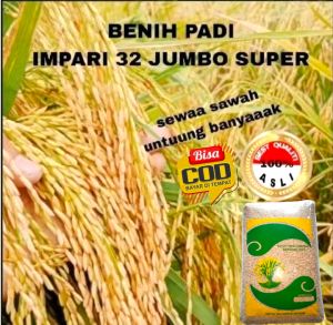 benih padi IMPARI 32 JUMBO SUPER kemasan 1kg