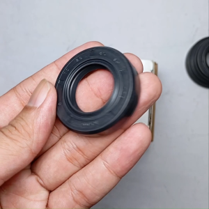 Seal Tc 25 45 10 TTO Original TTO INB JAKARTA