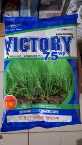 VICTORY BIRU 75 WP FUNGISIDA PENGENDALI PENYAKIT JAMUR BAWANG MERAH 1 KG