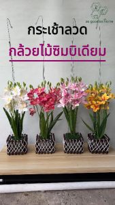 🚚ส่งจากไทย🚀กระเช้าลวด ดอกกล้วยไม้ซิมบิเดียมเทียม สวยมาก🌳เสมือนจริงมาก🌳สูง 48 cm.📷ภาพถ่ายจากสินค้าจริง📷