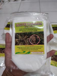 Pupuk Boster Kelengkeng sodium kristal 250gr