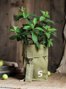 Juhan Canvas Bag Cloth Storage Bag Storage Debris Storage Bag Organizing Basket Flower Pot Coats Decoration Storage Bucket Artsy