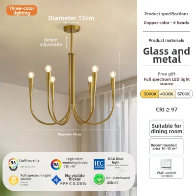 TIANCHUANGJIYUAN | Designer Nordic Luxe Retro Chandelier