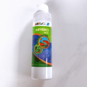 Men Vi Sinh Gốc Mr Bio Fish Thế Hệ Mới Xử Lý Nước Cho Hồ Cá Cảnh Hồ Thủy Sinh