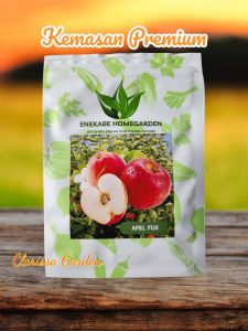 (KEMASAN PREMIUM) BIJI/BENIH TANAMAN APEL MERAH FUJI (isi -+10 butir)