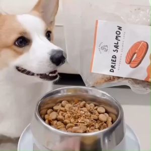 น้ำมันปลาแซลมอนแท้ บำรุงขน หัวใจ กระดูก เพิ่มความอยากอาหาร สำหรับสุนัขและแมว (200ml)