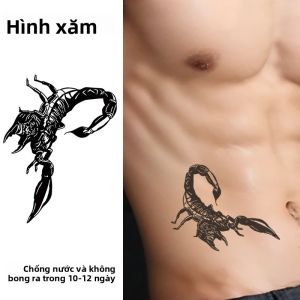 1 Miếng Dán Hình Xăm Tạm Thời Bọ Cạp Chống Thấm Nước Lâu Dài 1-2 Tuần Thích Hợp Cho Cánh Tay Ngực Eo-Decal Nghệ Thuật Thân Thể