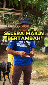 LORAVET WEIGHT BOOSTER (PENGGEMUK TERNAKAN RUMINAN ) - SET PERCUBAAN 5 PACK ( LEBIH JIMAT )