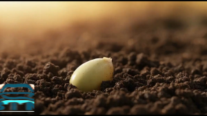 Phân bón lá sinh học DAMBIO  – Cung cấp vi sinh thế hệ mới giúp đất tơi xốp cây xanh tốt tự nhiên