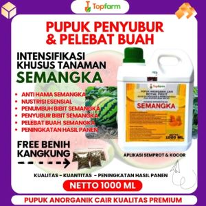 Pupuk Khusus Semangka: Cara Meningkatkan Pertumbuhan Buah