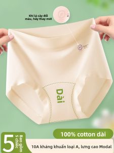 YUNASHA | Seamless Comfortable High Waist Panties