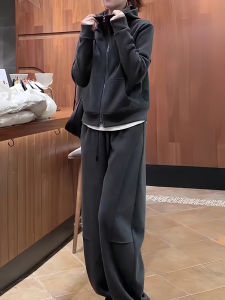 Premium Feel Sportswear Set Womens Autumn Winter Loose Slimming Fashionable Hoodie Running Casual Two Piece Set Long Sleeve Zipper