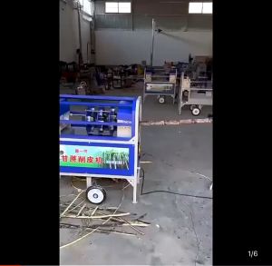 เครื่องปอกเปลือกอ้อย เชิงพาณิชย์ เครื่องปอกอ้อยอัตโนมัติ