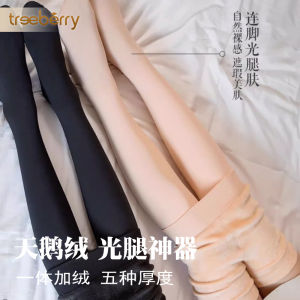 ถุงน่องผ้ากำมะหยี่ Treeberry สำหรับผู้หญิง ฤดูใบไม้ผลิ ฤดูใบไม้ร่วง ฤดูหนาว ถุงน่องหนา ถุงเท้าแบบมีขนสำหรับผู้หญิง ถุงน่องผ้ากำมะหยี่แบบสวมข้อเท้า