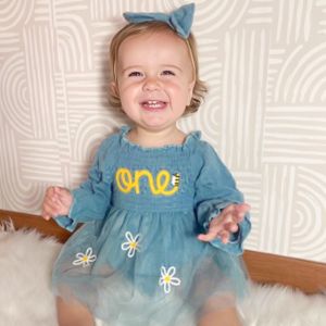 Rolanko Baby Girl Tulle Dress Toddler Elastic Long Sleeve Princess Tutu Dress Kids Birthday Daily Wear 6-18 Months