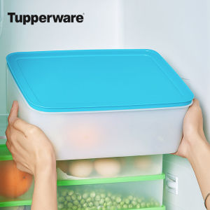 Tupperware | Food-Grade Freezer Refrigerator Preservation Box 5.7L