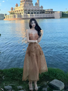 Elegant Embroidered Dress For Banquets