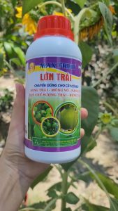 [Freeship Max] LỚN TRÁI phân bón chuyên cam quýt bưởi giúp bóng trái nặng ký ngon ngọt mỏng vỏ bóng trái chai 500ml_VTNN TRUNG THIEN THINH