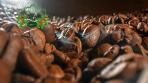 Combo Mộc | 1 hộp hạt điều rang (500g) + 500g cà phê blend (70% Robusta 30% Arabica)