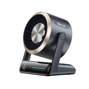 Negative Ion Silent Desk Fan