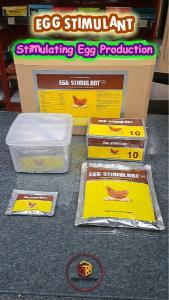 Egg Stimulant | Stimulating Egg Production | Vitamin untuk Ayam Petelur Bebek Puyuh
